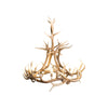 Cathedral Teepee Elk Chandelier, Furnishings, Lighting, Ceiling Light