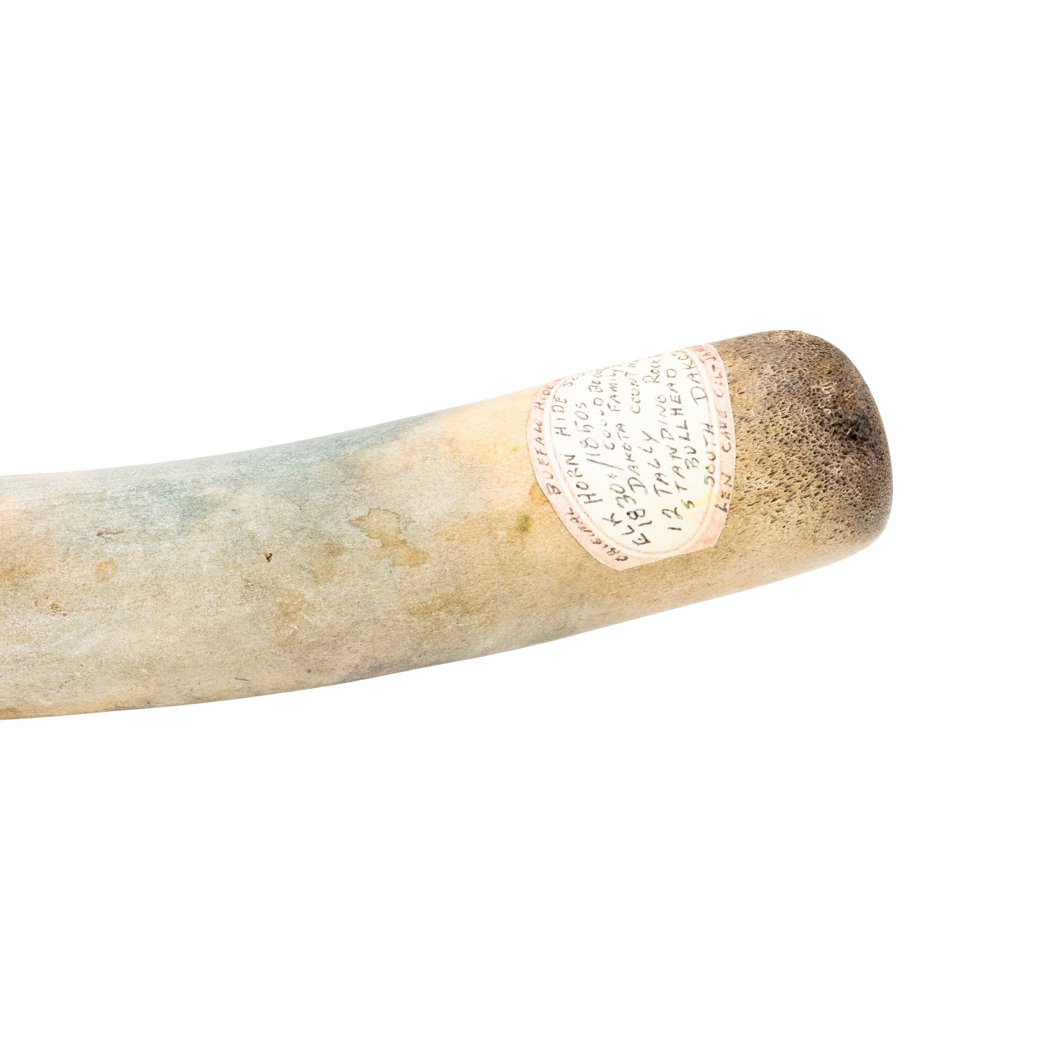 Plains Elk Horn Hide Scraper