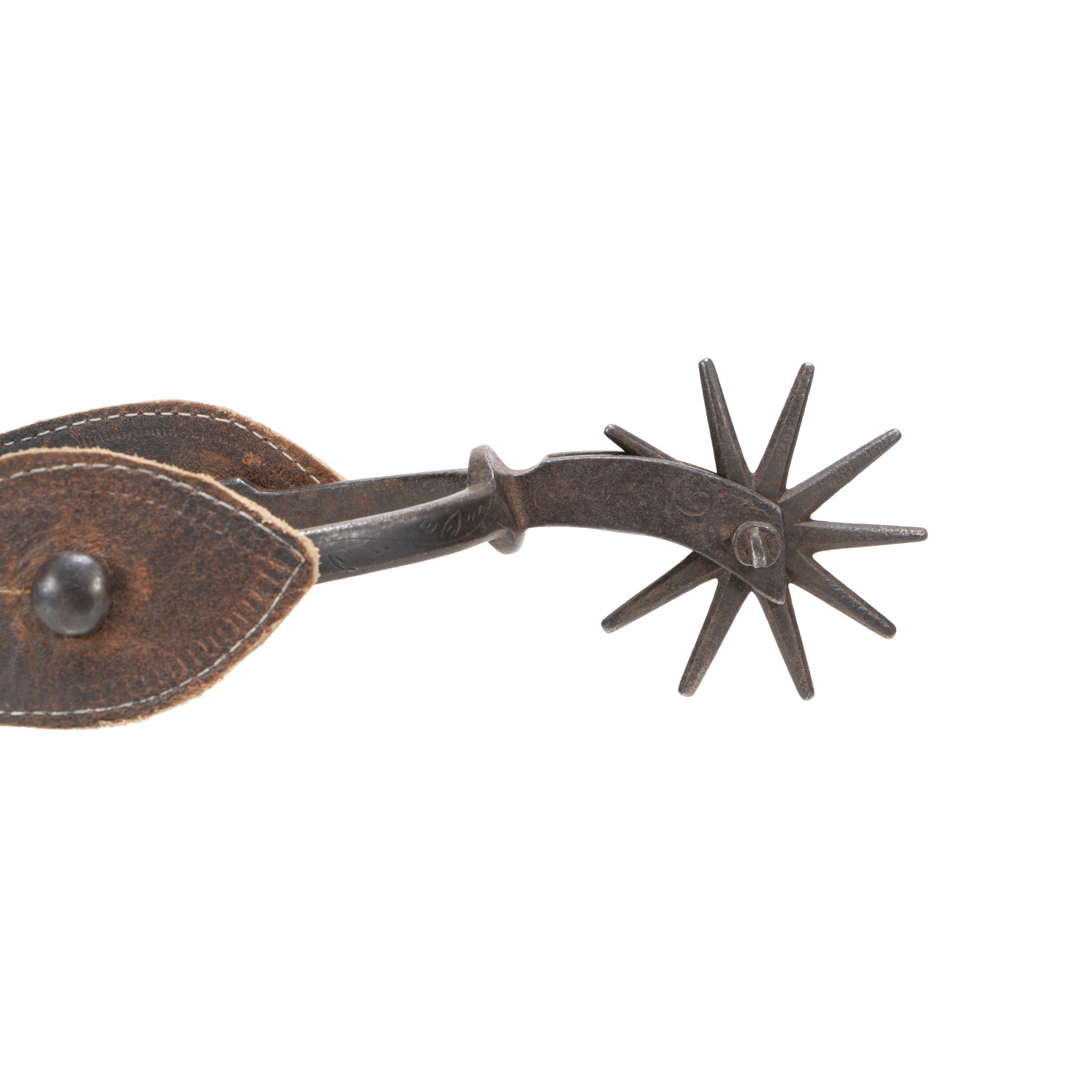 August Buermann Spurs