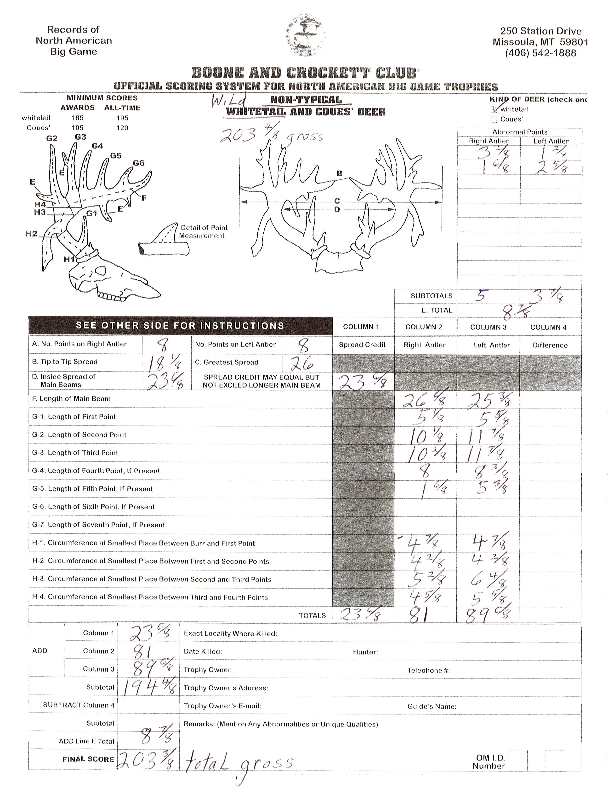 South Texas Brush Buck Whitetail Deer