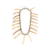 Apsaalooke (Crow) "Bear Claw" Necklace, Native, Garment, Choker