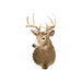 Whitetail Deer Shoulder Mount, Furnishings, Taxidermy, Deer