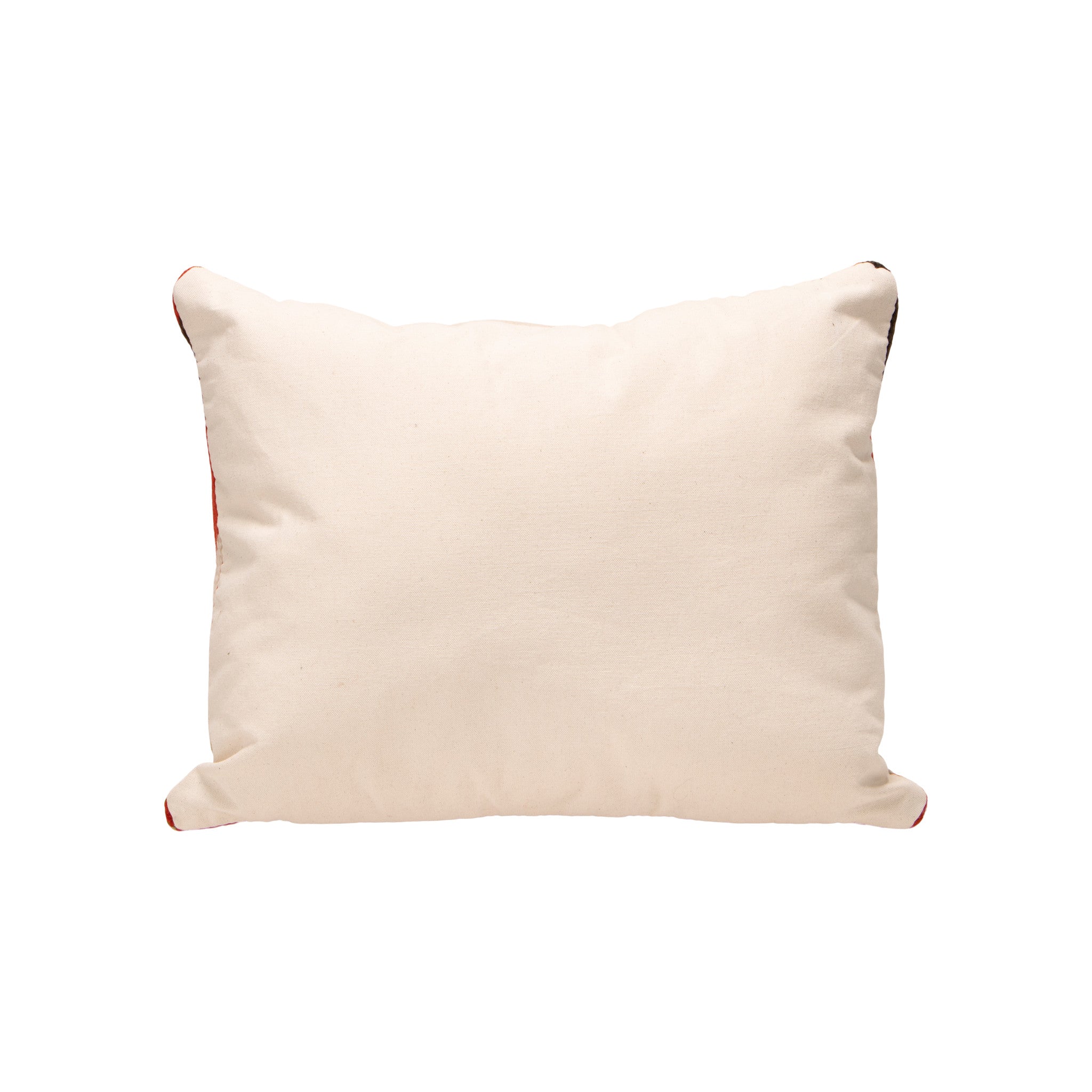 Pair Native Lodge Pillows