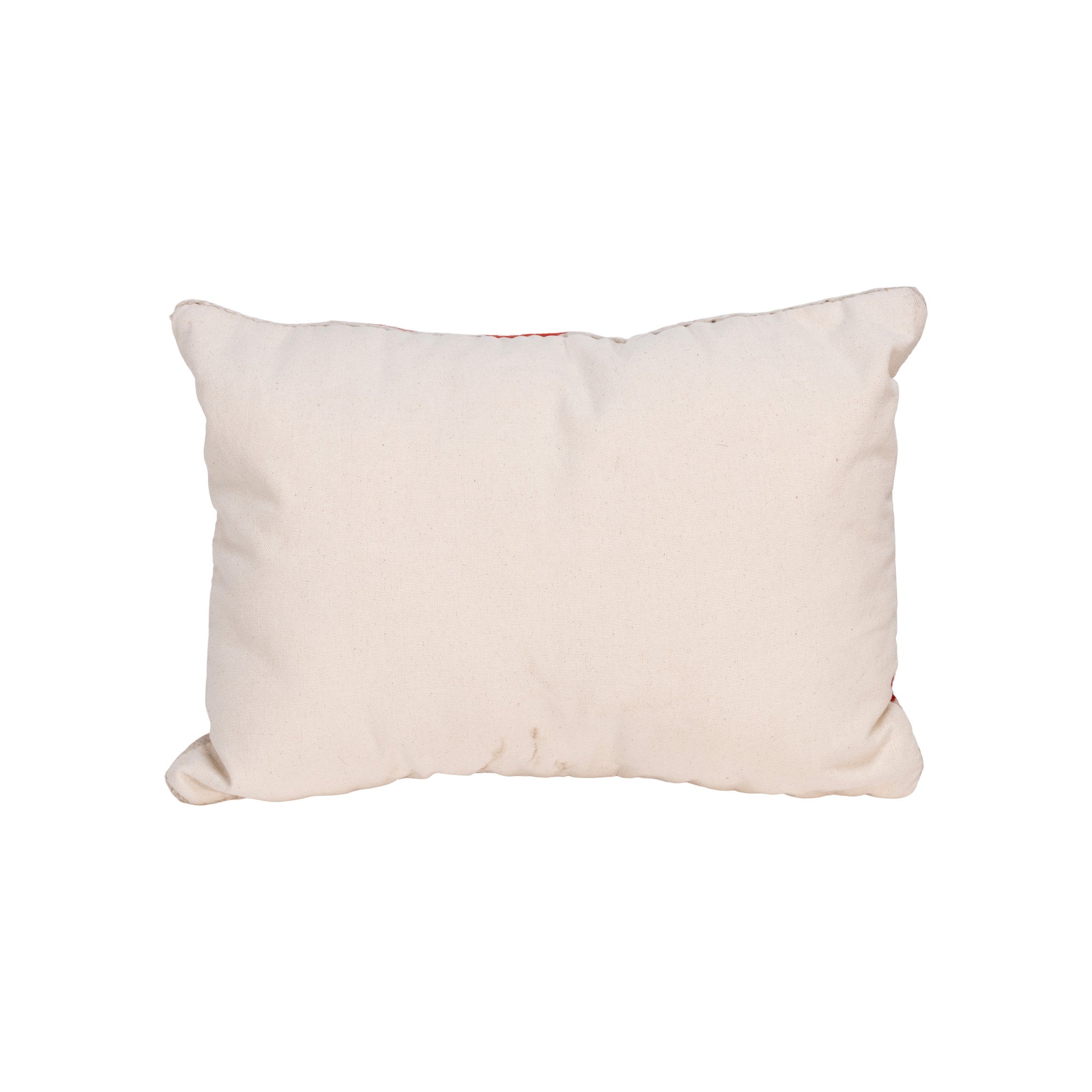 Native Lodge Pillow