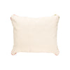 Pair Native Lodge Pillows