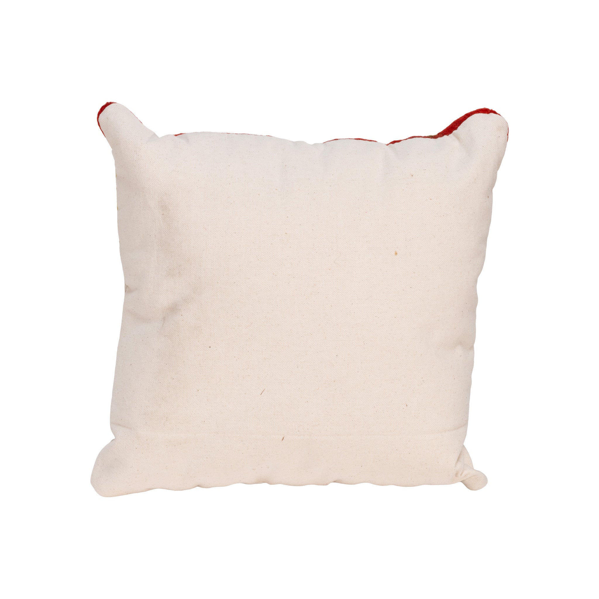 Native Lodge Pillow