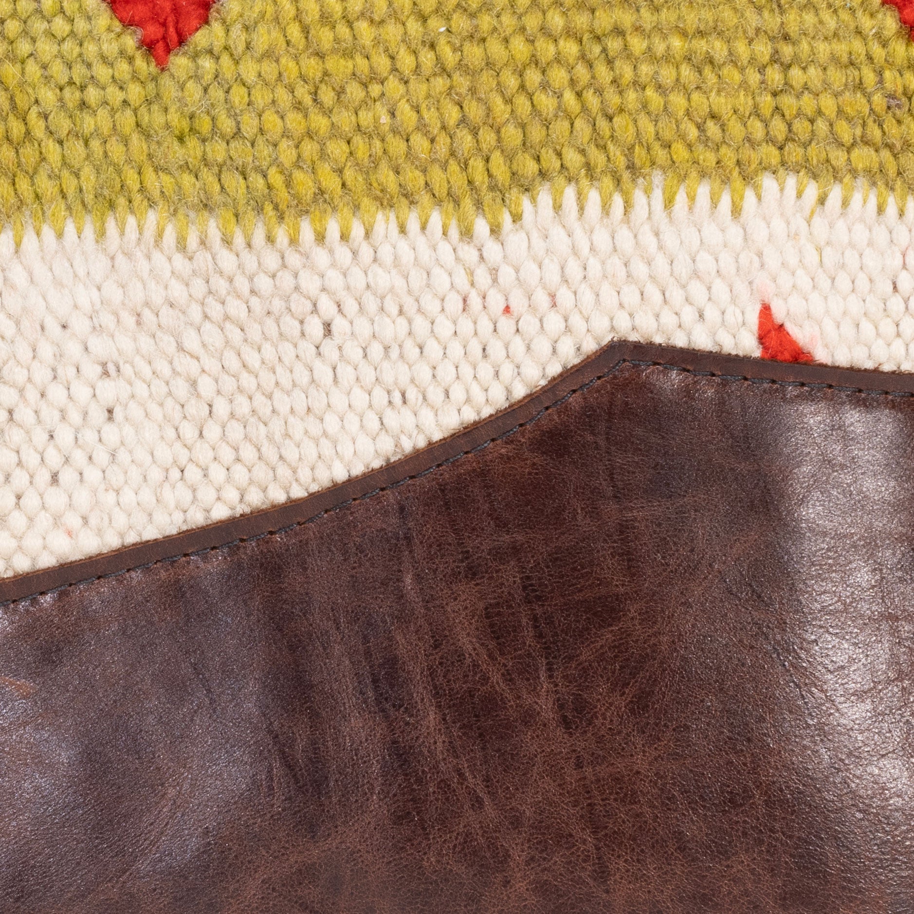 Native Lodge Pillow