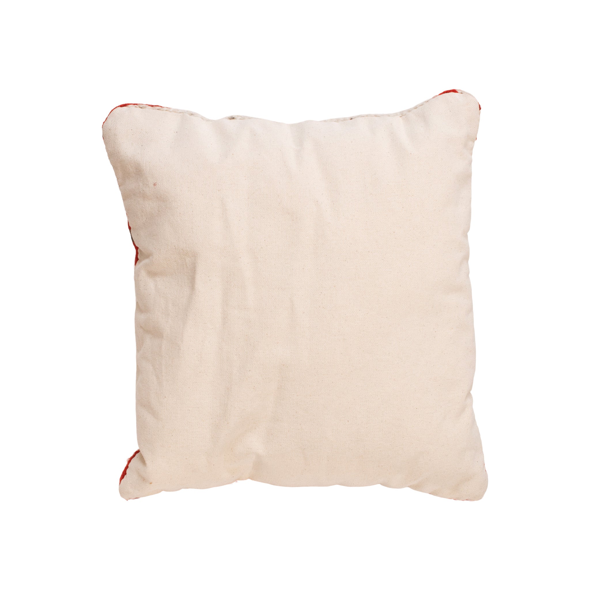 Native Lodge Pillow