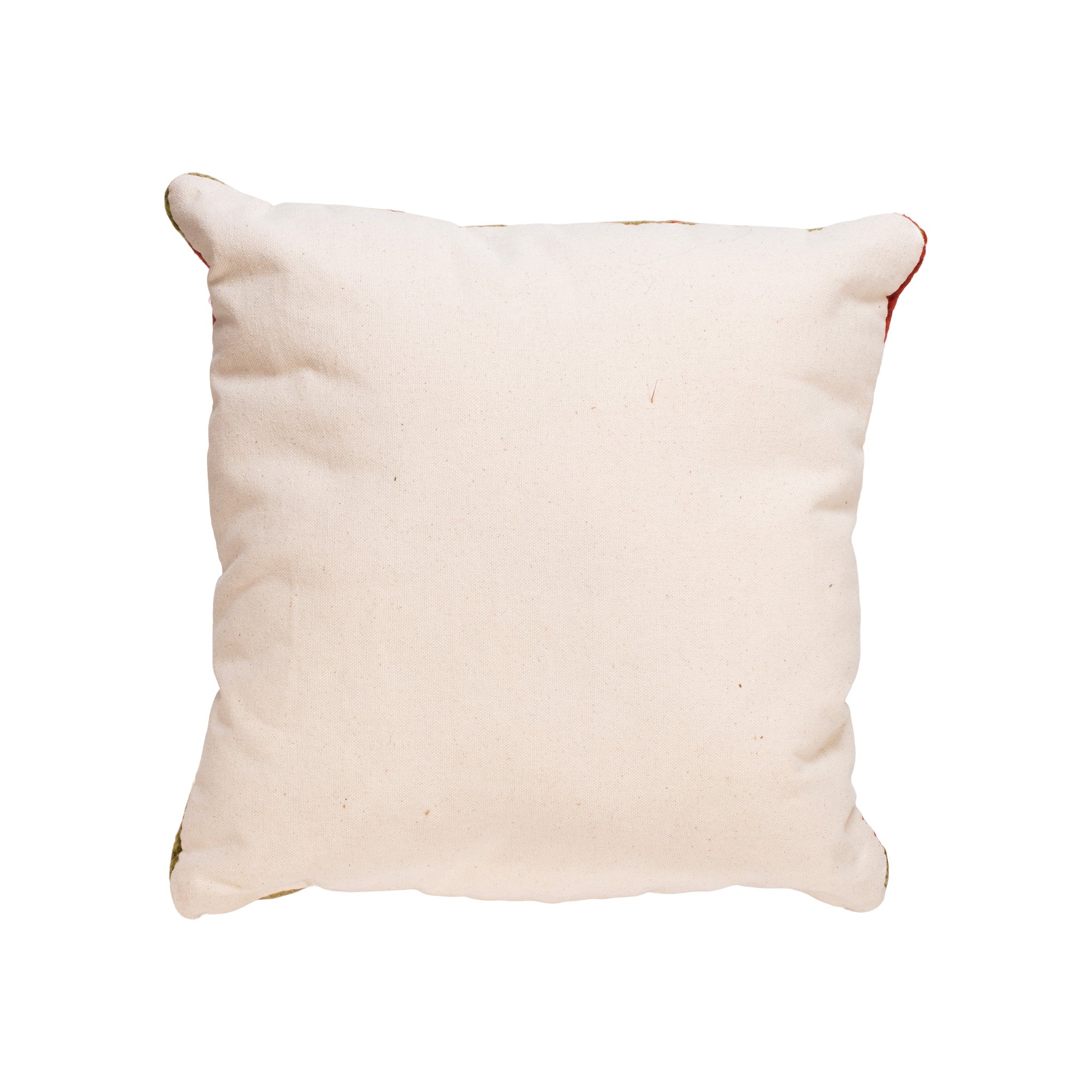 Native Lodge Pillow