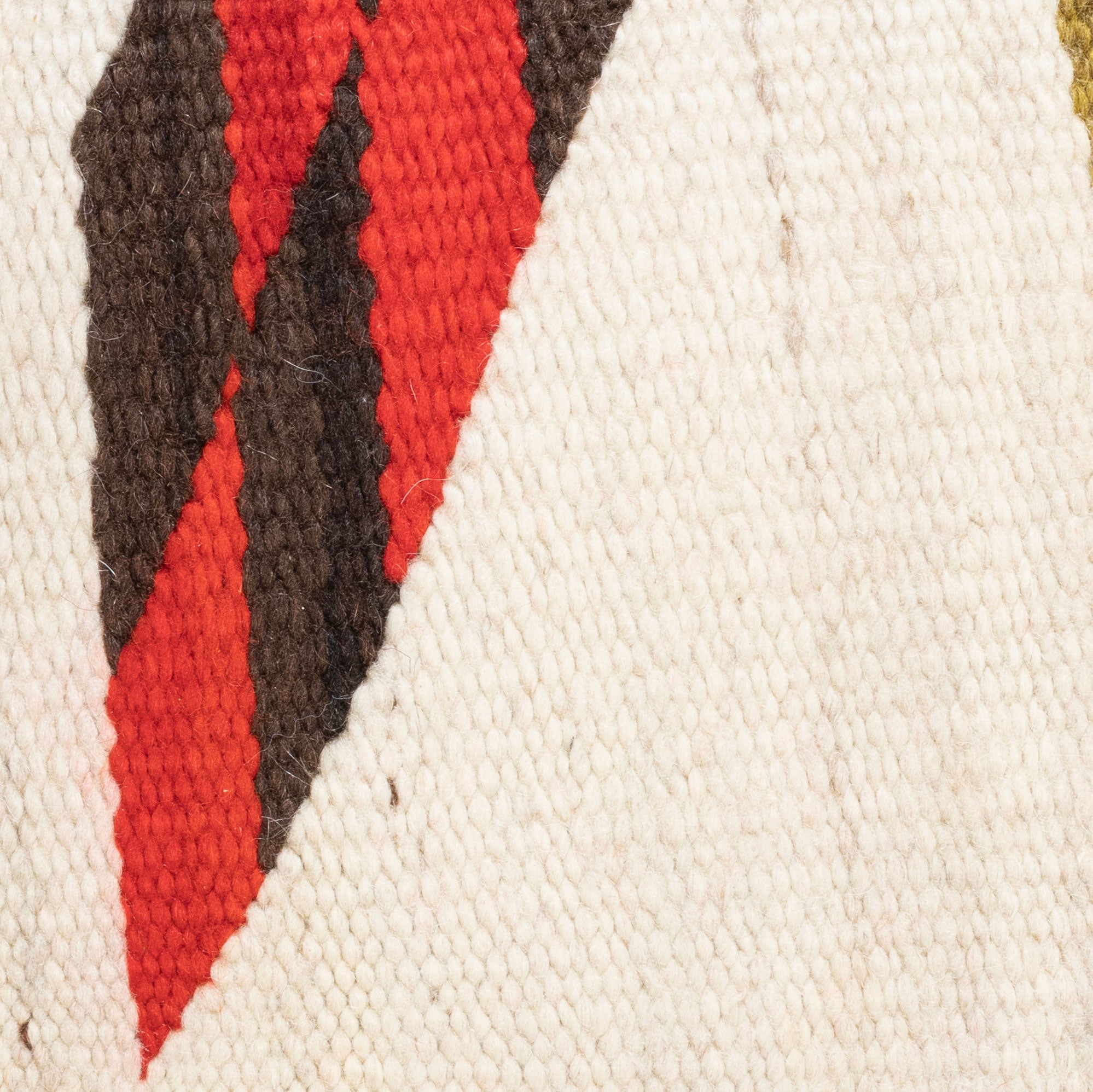 Native Lodge Pillow