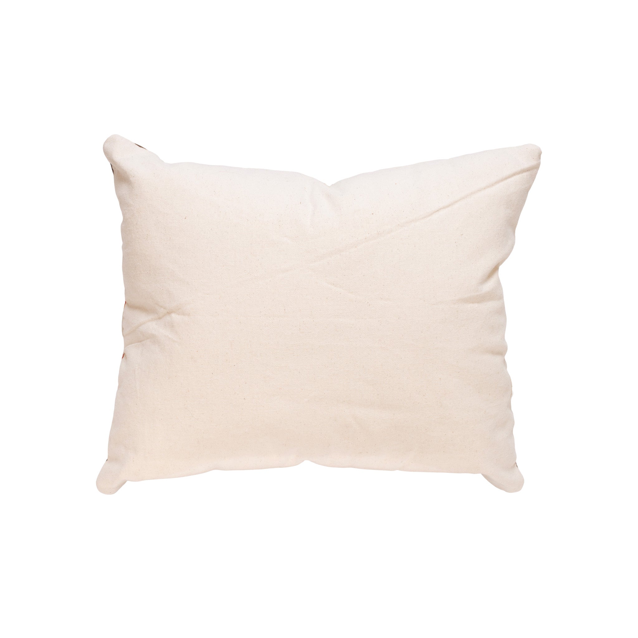 Native Lodge Pillow
