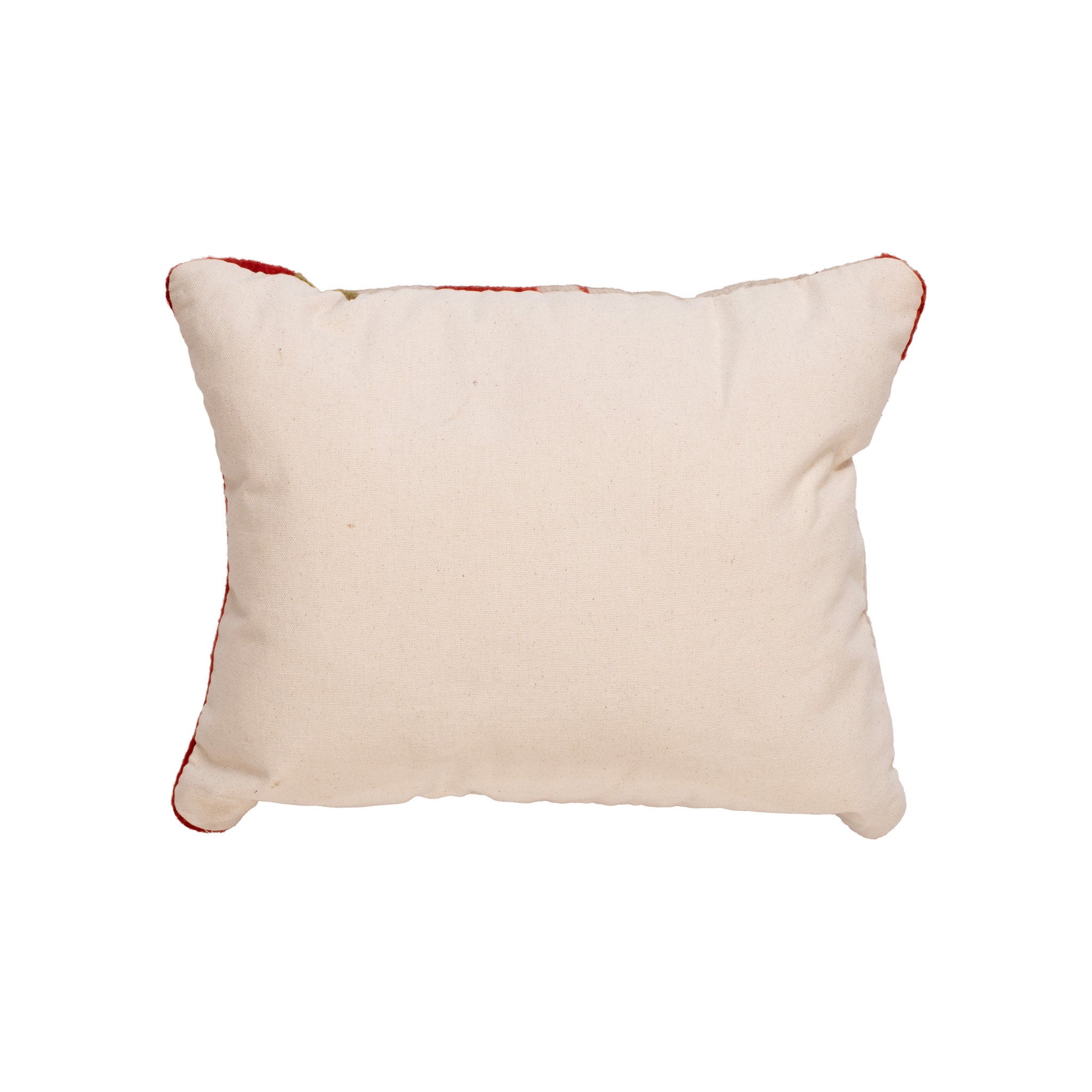 Native Lodge Pillow