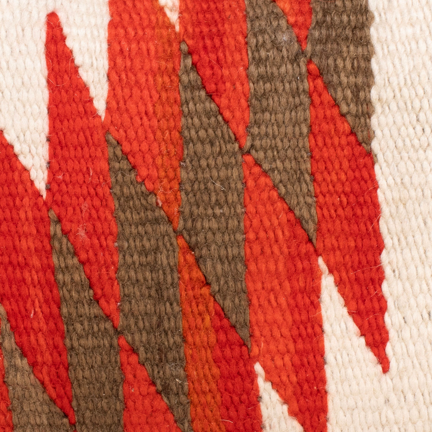 Native Lodge Pillow