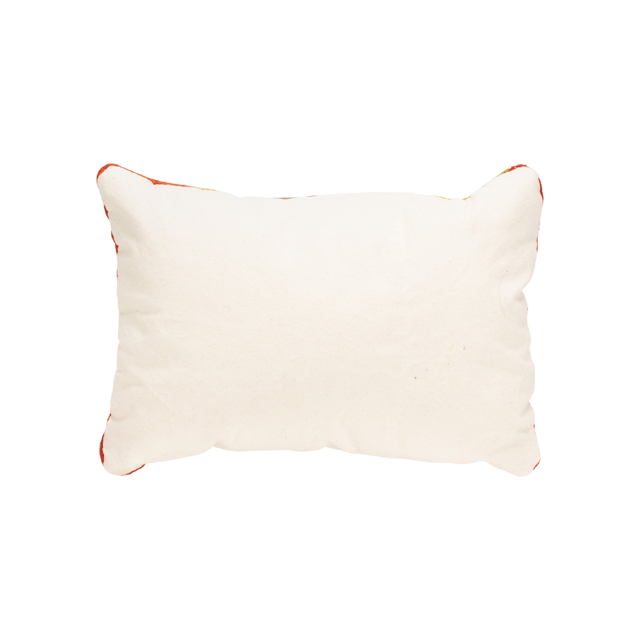 Native Lodge Pillow