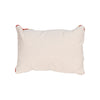Native Lodge Pillow
