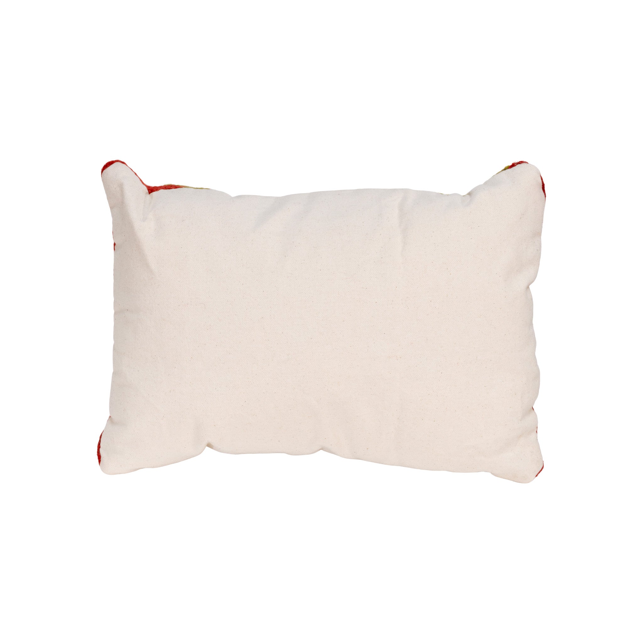 Native Lodge Pillow