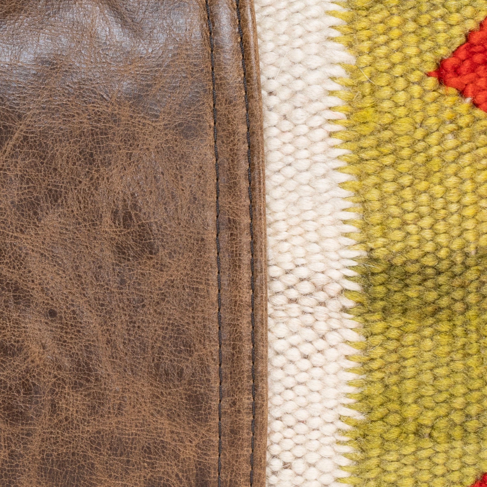 Native Lodge Pillow