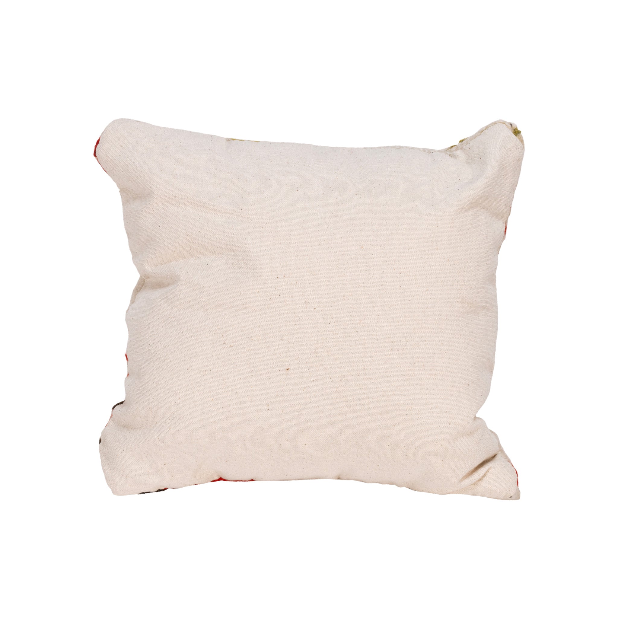 Native Lodge Pillow