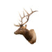 6 x 6 Elk Shoulder Mount, Furnishings, Taxidermy, Elk