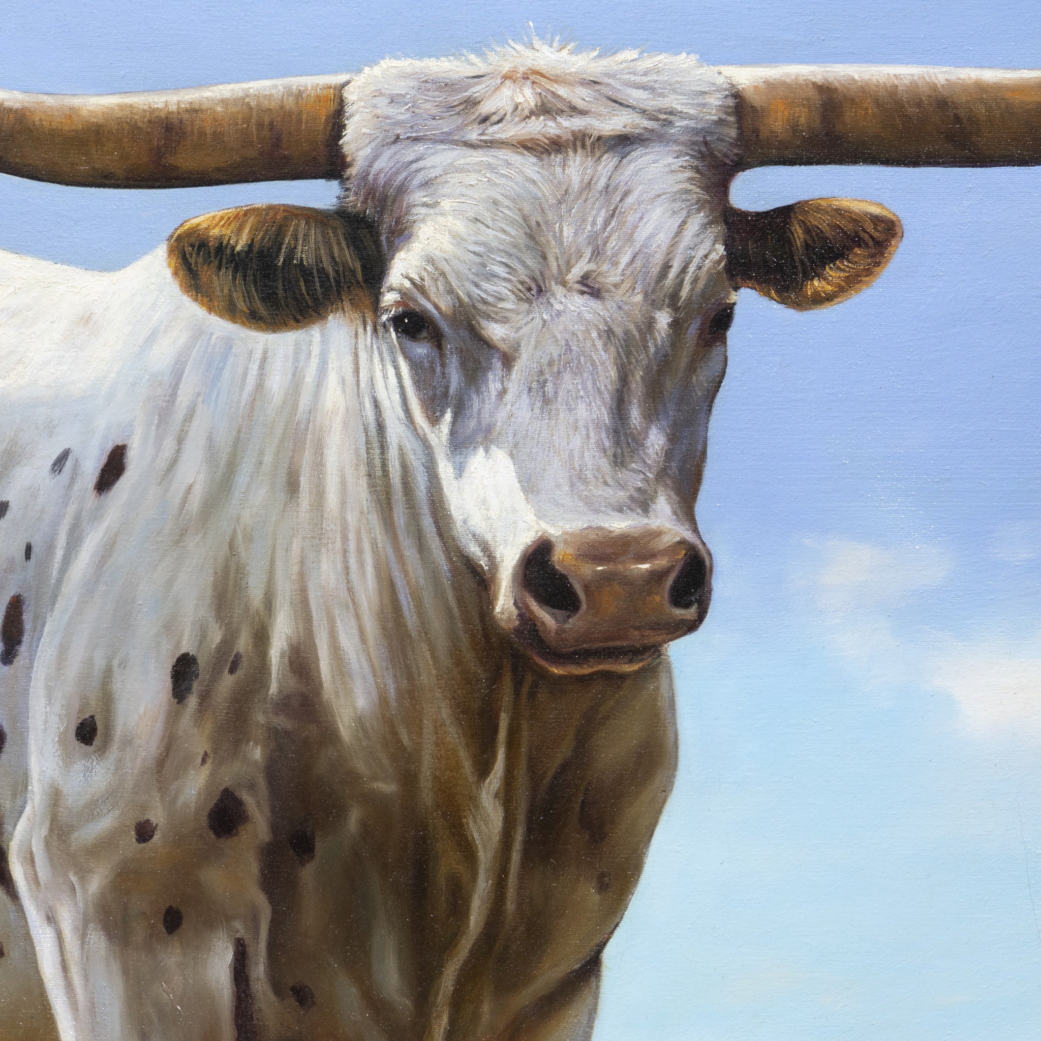 Texas Longhorn by E. Tapia