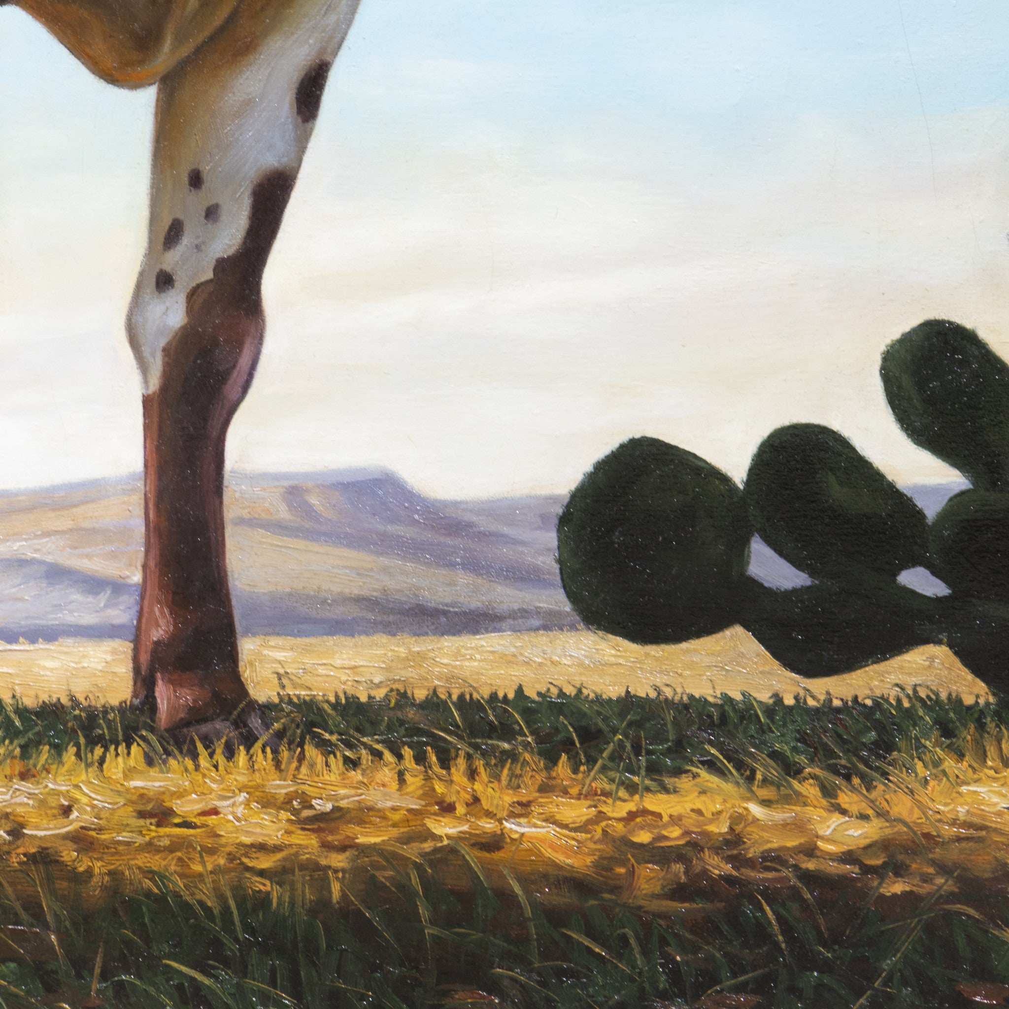 Texas Longhorn by E. Tapia