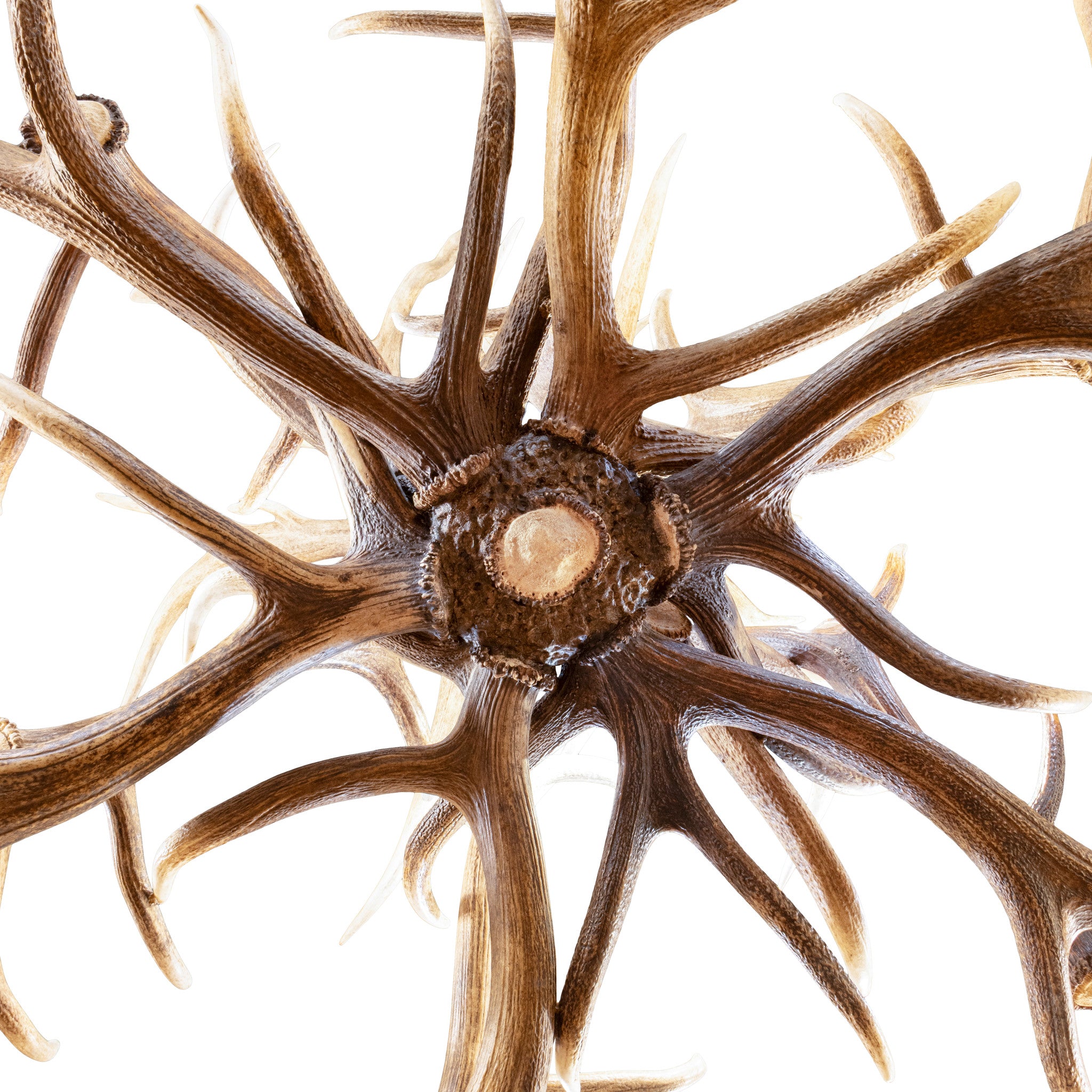 Red Stag Chandelier