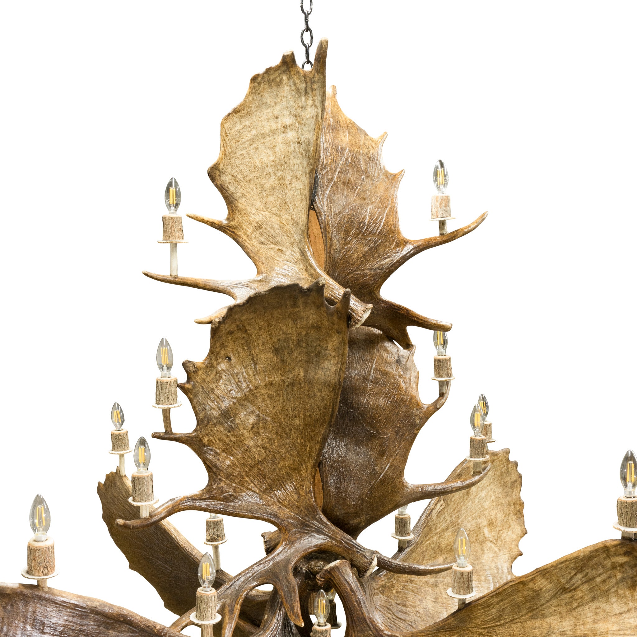 Northern Highland Moose Chandelier