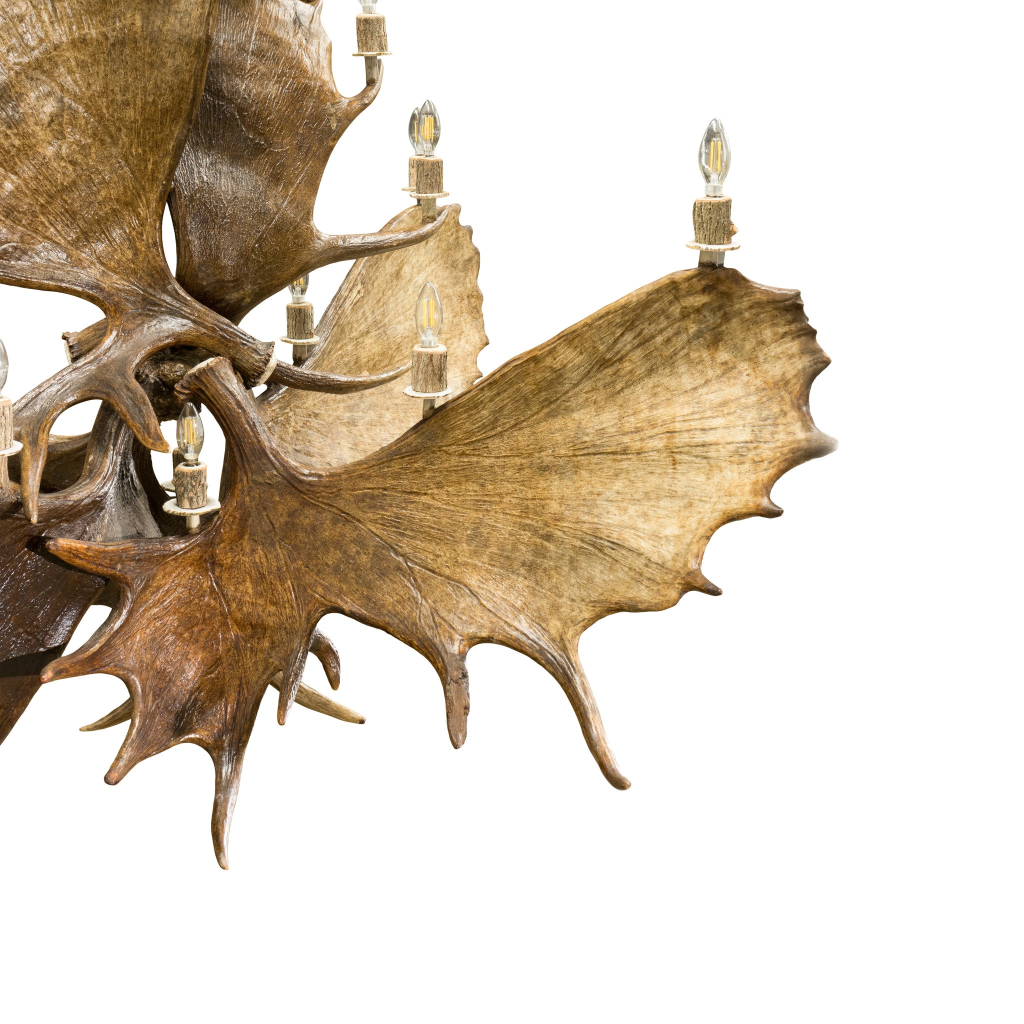 Northern Highland Moose Chandelier