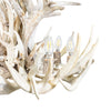 Snowball Whitetail Chandelier