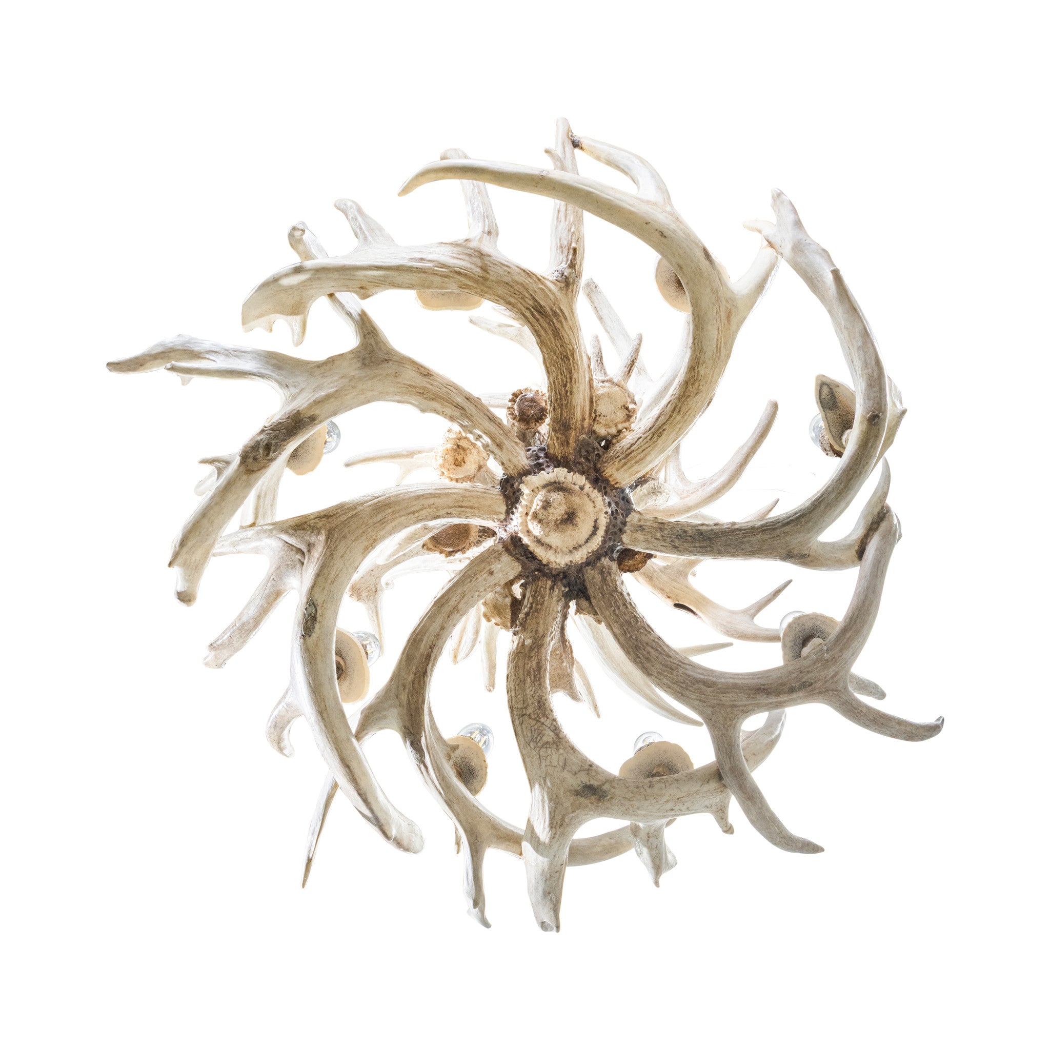 Snowball Whitetail Chandelier