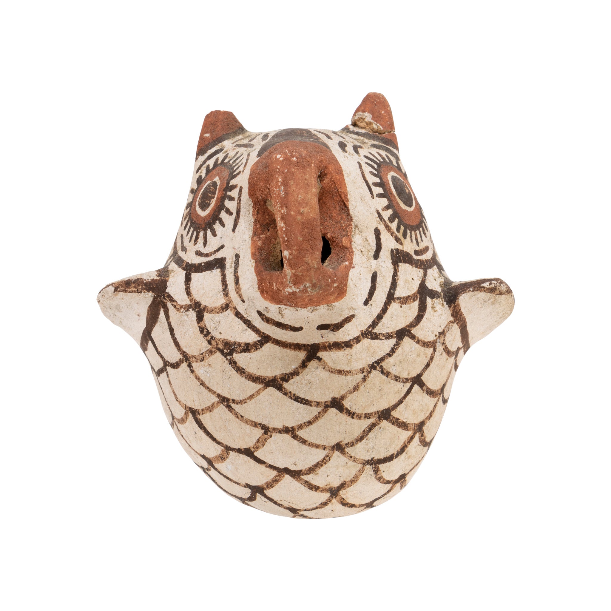 Acoma Owl