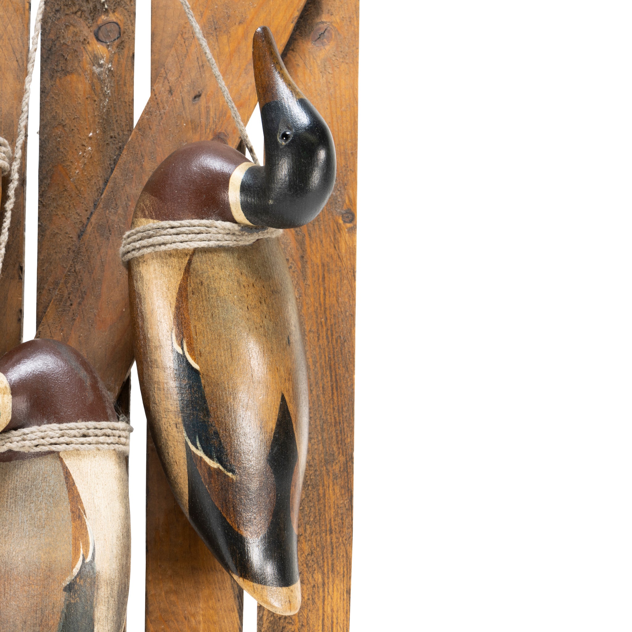 Decoy Rig — Cisco's Gallery