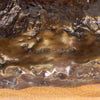 "A New Camp" Bronze By Robert Scriver