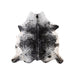 Longhorn Hide, Furnishings, Taxidermy, Longhorn