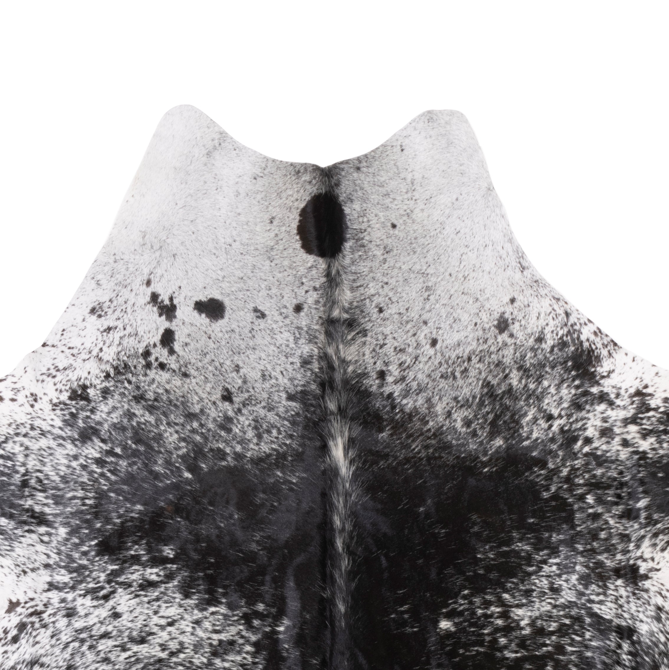 Longhorn Hide