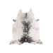 Longhorn Hide, Furnishings, Taxidermy, Longhorn