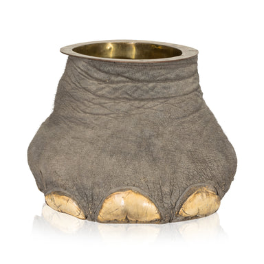 Monumental Elephant Foot Canister, Furnishings, Taxidermy, African