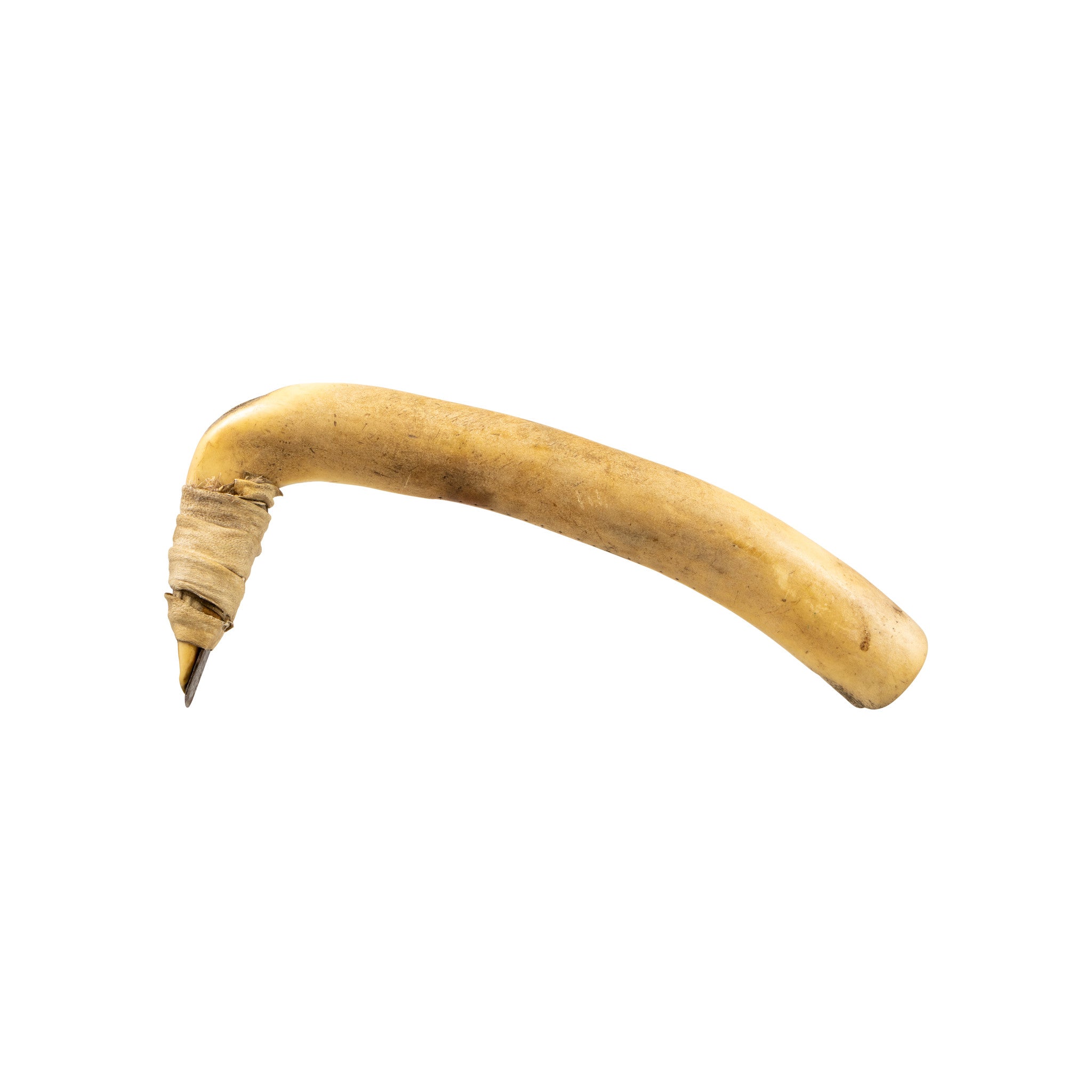 Northern Plains Hide Scraper