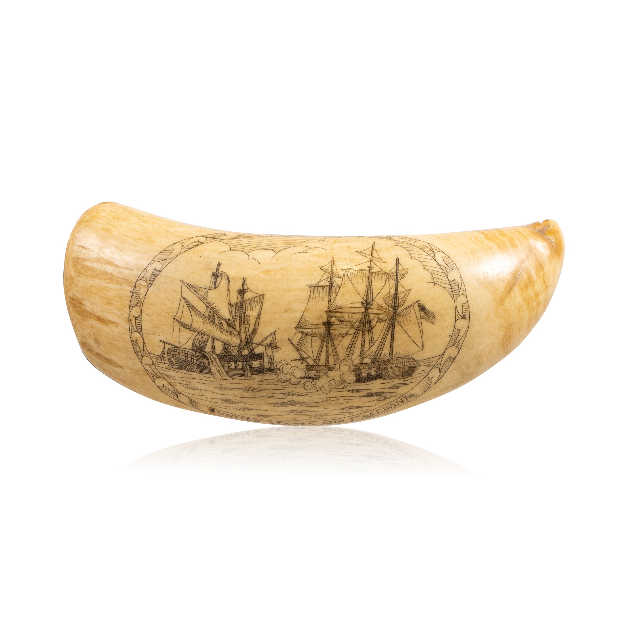 Scrimshawed Sperm Whale Tooth, Furnishings, Decor, Carving