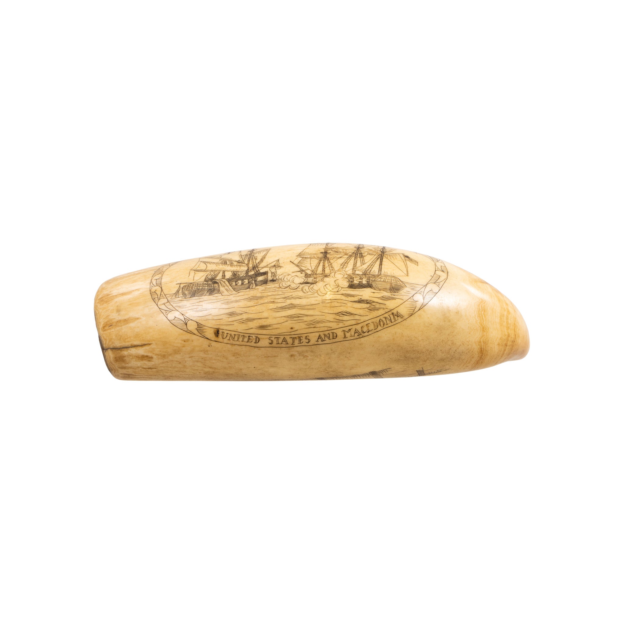 Scrimshawed Sperm Whale Tooth