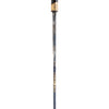 English Sword Cane