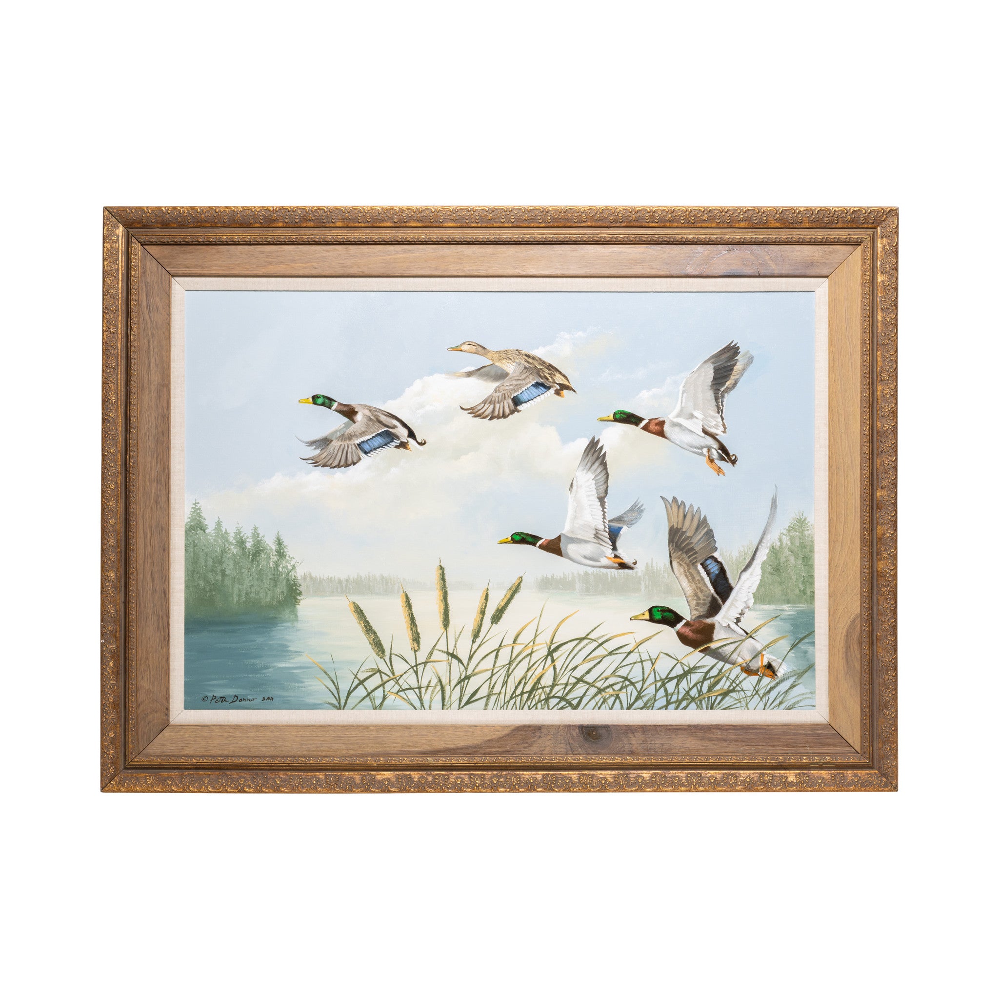 "Take Off" by Peter Darro