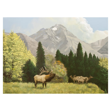 "High Mountain Meadows" Original by Peter Darro, Fine Art, Painting, Wildlife