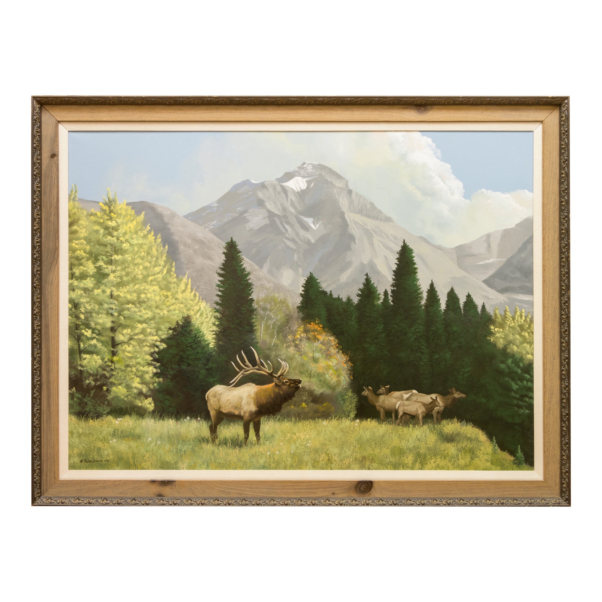 "High Mountain Meadows" Original by Peter Darro