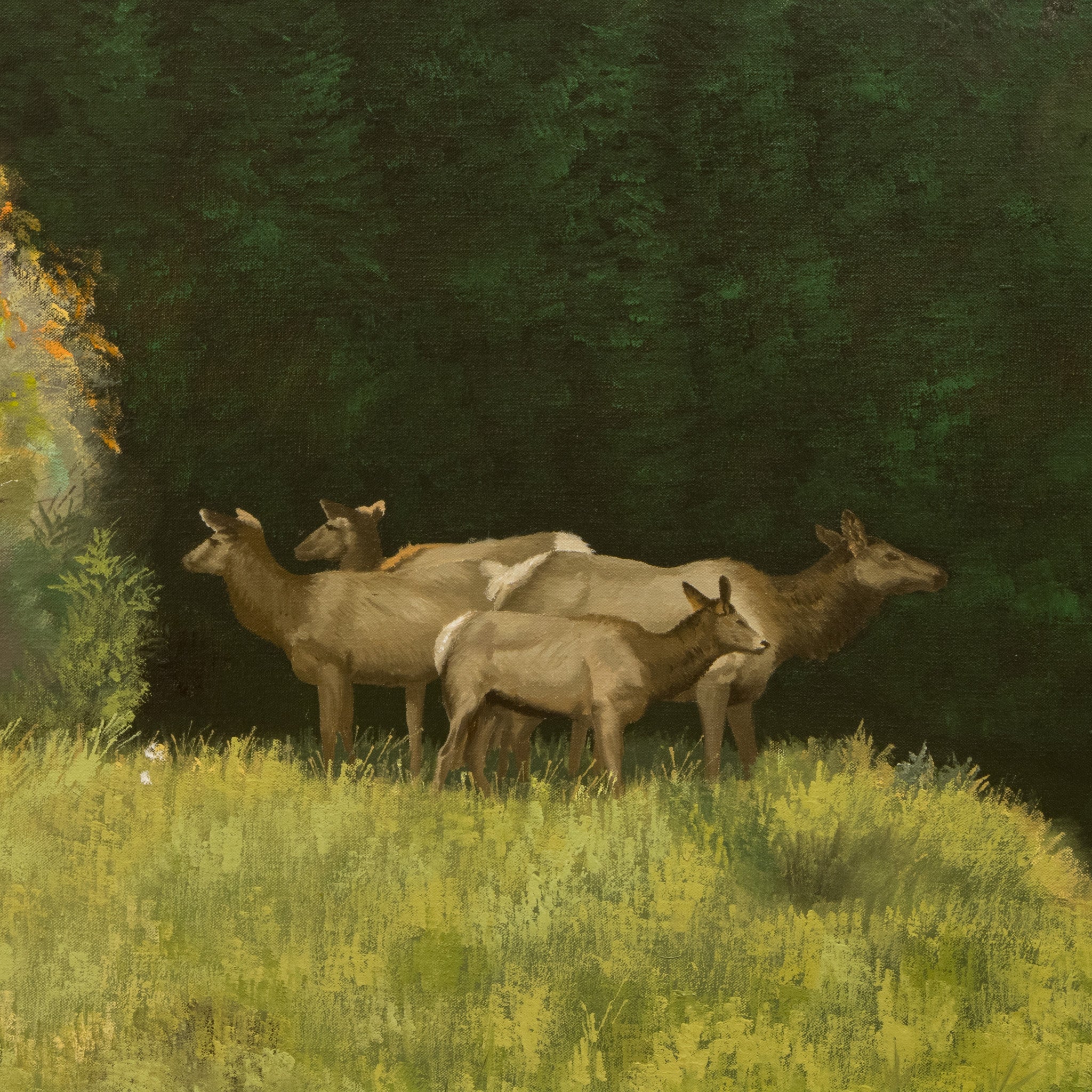 "High Mountain Meadows" Original by Peter Darro