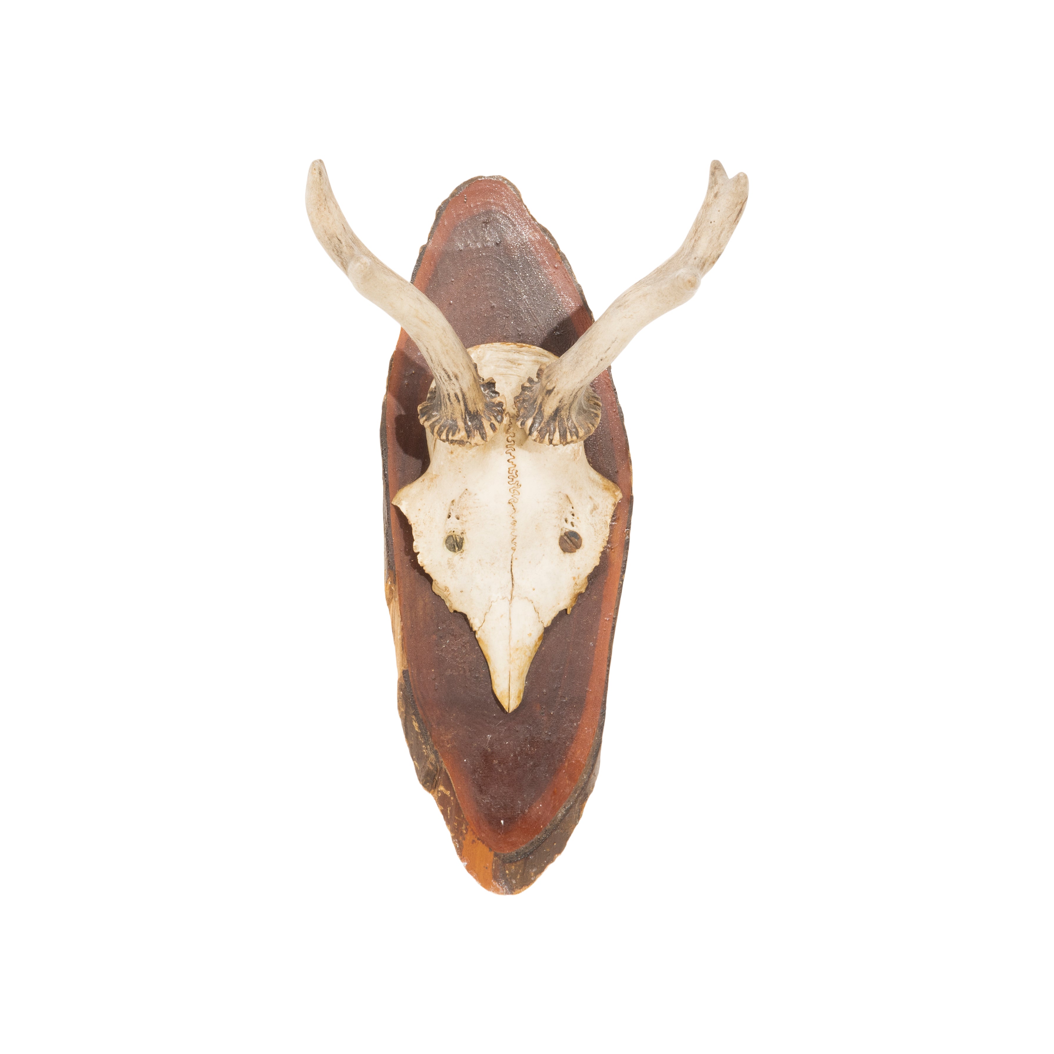 Roe Deer Plaque