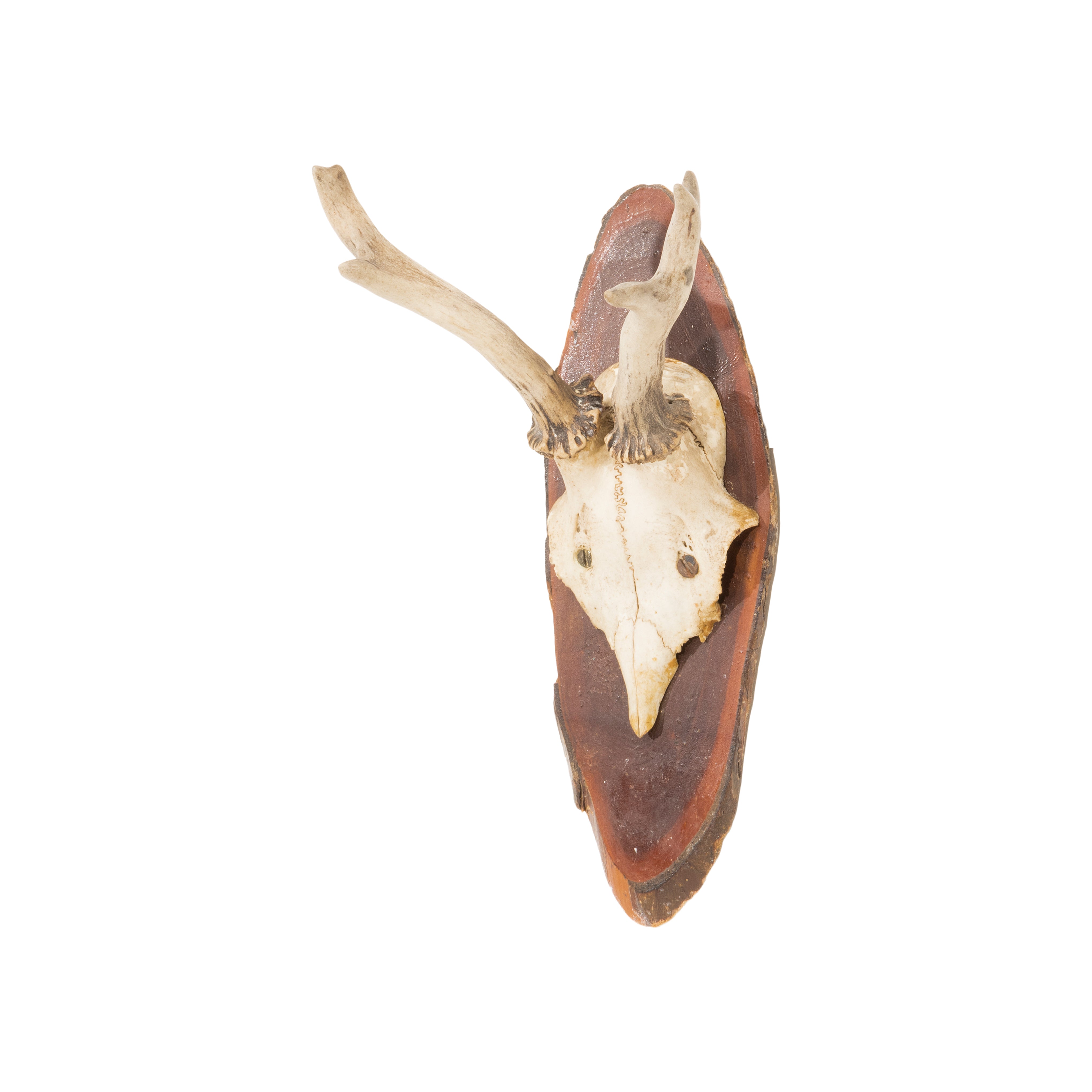 Roe Deer Plaque