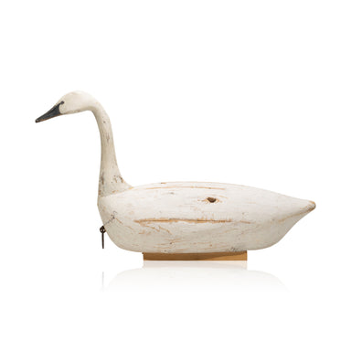 Swan Decoy by Reggie Birch, Sporting Goods, Hunting, Waterfowl Decoy