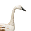 Swan Decoy by Reggie Birch