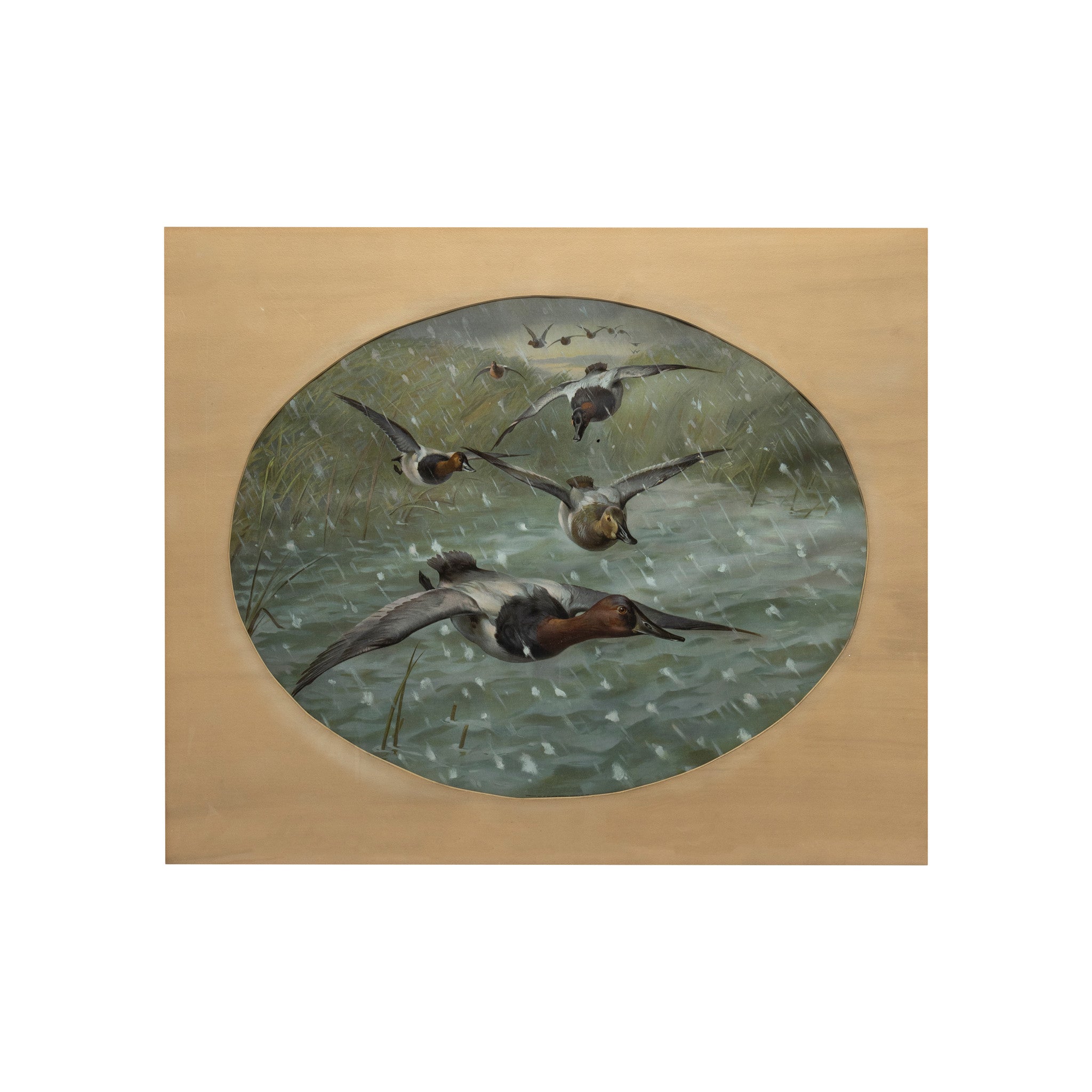 Union Metallic Cartridge Co. Advertising Lithograph, Sporting Goods, Advertising, Ammunition Poster